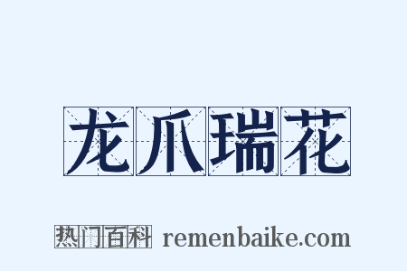 龙爪瑞花是什么意思的图片